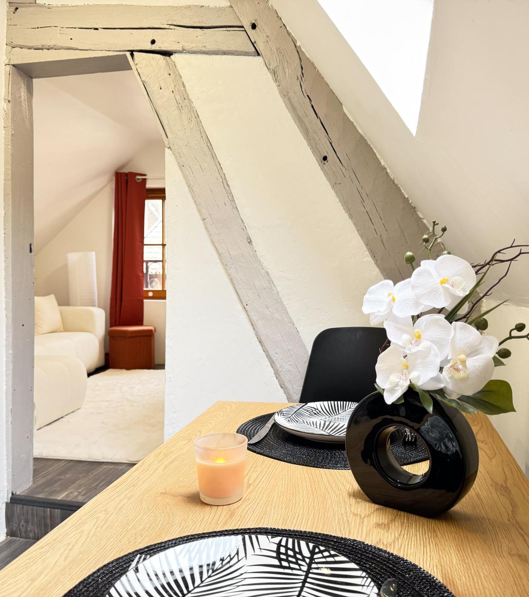 La Douceur - Hypercentre Pieton De Troyes - Cozy 아파트 외부 사진